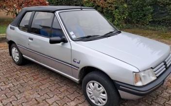 Peugeot 205 Lamure-sur-Azergues