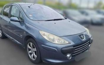 Peugeot 307 Maisons-Alfort