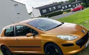 Peugeot 307 Lamballe