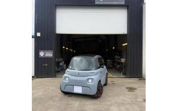 Citroen ami Saint-Barthélemy-d'Anjou