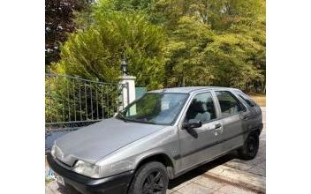 Citroen zx Courtenay