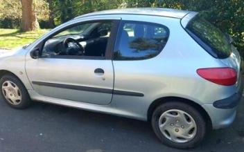 Peugeot 206 Caudan
