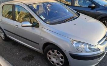 Peugeot 307 Dumes