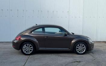 Volkswagen Beetle Louvil