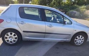 Peugeot 307 Clermont-Ferrand