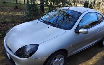 Ford puma Saint-Cricq-Villeneuve