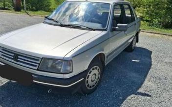 Peugeot 309 Bourrou