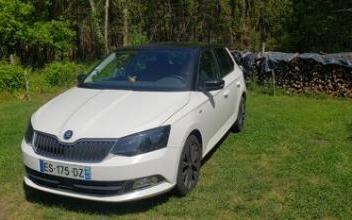 Skoda fabia Geloux