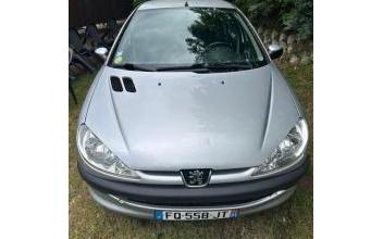 Peugeot 206 Villeurbanne