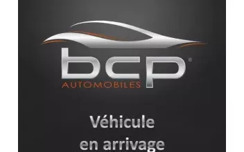 Renault Megane Pavie