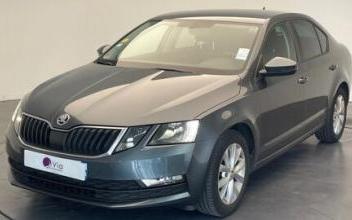 Skoda octavia Roncq