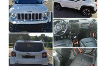 Jeep renegade Sours