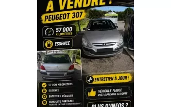 Peugeot 307 Beaumont-sur-Oise