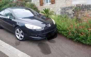 Peugeot 407 coupe Meyronne