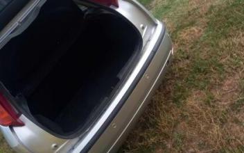 Ford focus Pommevic