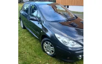Peugeot 307 Avignon