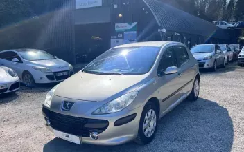 Peugeot 307 Sathonay-Camp