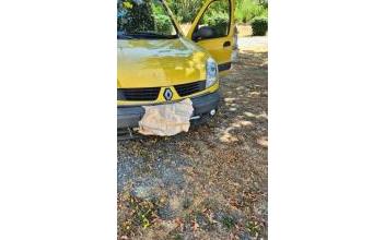 Renault kangoo Paulnay