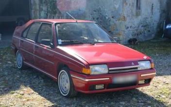 Citroen bx Araux