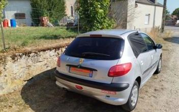 Peugeot 206 La-Chapelle-aux-Chasses