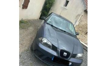 Seat ibiza Escurolles