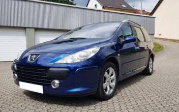 Peugeot 307 sw Cour-sur-Loire