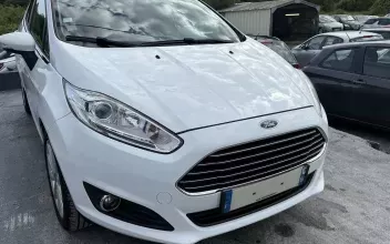Ford Fiesta Urcuit