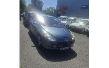 Peugeot 307 Saint-Laurent-d'Arce