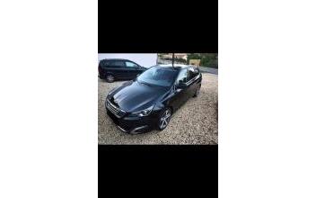 Peugeot 308 sw Garat
