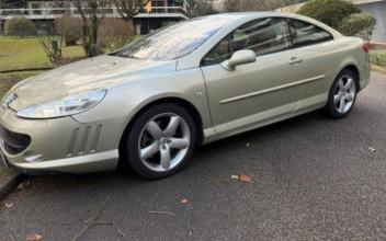 Peugeot 407 Versailles