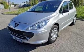 Peugeot 307 Feyzin