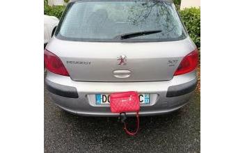 Peugeot 307 Pineuilh