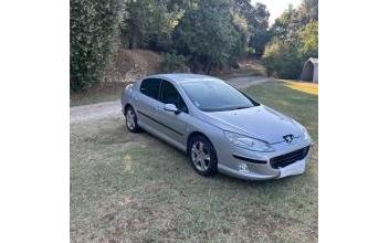 Peugeot 407 Saint-Georges-les-Bains