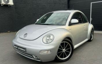 Volkswagen Beetle Fretin