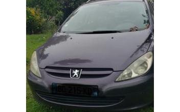 Peugeot 307 Colombier-le-Cardinal
