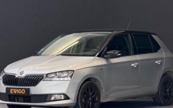 Skoda fabia Tours