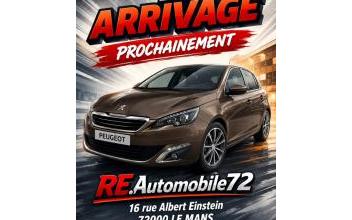 Peugeot 308 Le-Mans