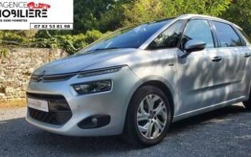 Citroen c4 picasso Fleurines