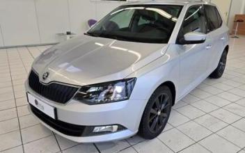 Skoda fabia Steenvoorde