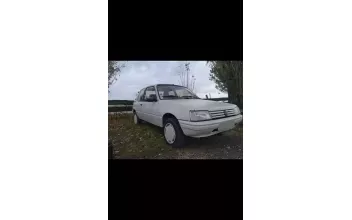 Peugeot 205 Fère-en-Tardenois