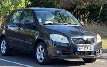 Skoda fabia Tours