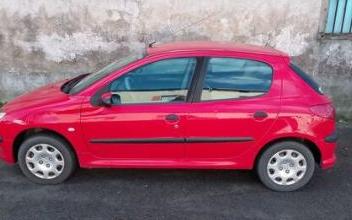 Peugeot 206 Saint-Barthélemy-Lestra