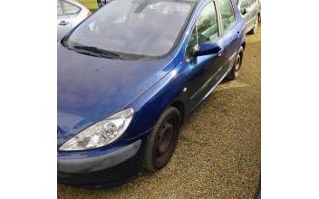 Peugeot 307 Arnage