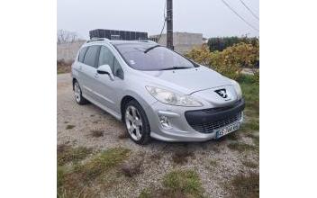 Peugeot 308 sw Pin