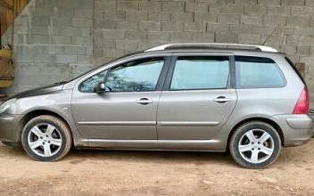 Peugeot 307 sw Plaine-de-Walsch