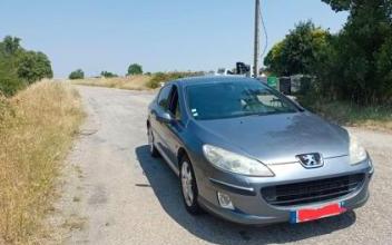 Peugeot 407 Portes-lès-Valence