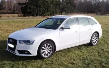 Audi A4 Bitche