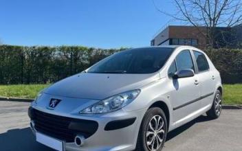 Peugeot 307 Hallennes-lez-Haubourdin