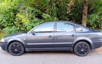 Volkswagen passat Bourgoin-Jallieu