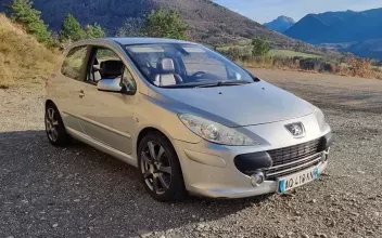 Peugeot 307 La-Salle-en-Beaumont